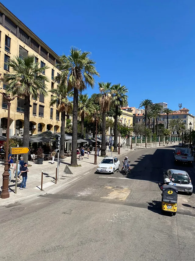 a palm tree lined street in Ajaccio